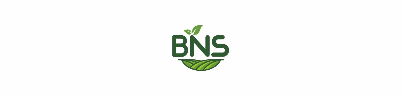 BNS